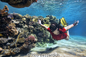 "Exploring the reef"
CANON 40D with Sigma 10-20mm & Magi... by Rico Besserdich 